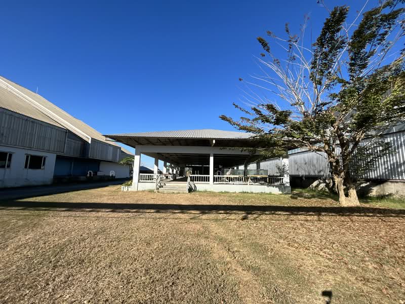 โรงงาน, Chon Buri (Pattaya), Nong Chak, Ban Bung, Chon Buri (Pattaya), , 5,000 sqm, Warehouse/Factory For Sale, by ภคภพ แก้วเกตุ, 500154929 - DDproperty.com