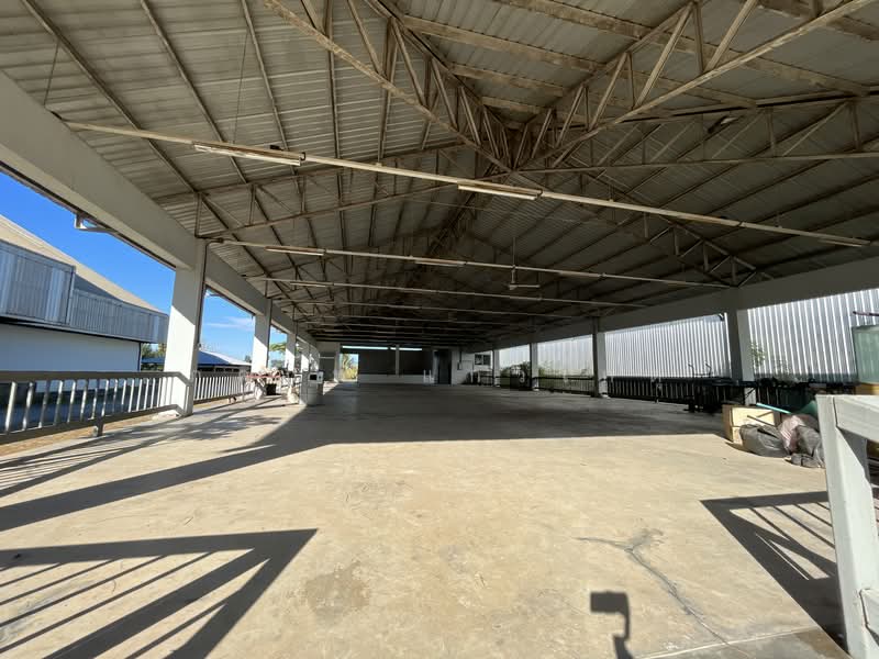 โรงงาน, Chon Buri (Pattaya), Nong Chak, Ban Bung, Chon Buri (Pattaya), , 5,000 sqm, Warehouse/Factory For Sale, by ภคภพ แก้วเกตุ, 500154929 - DDproperty.com