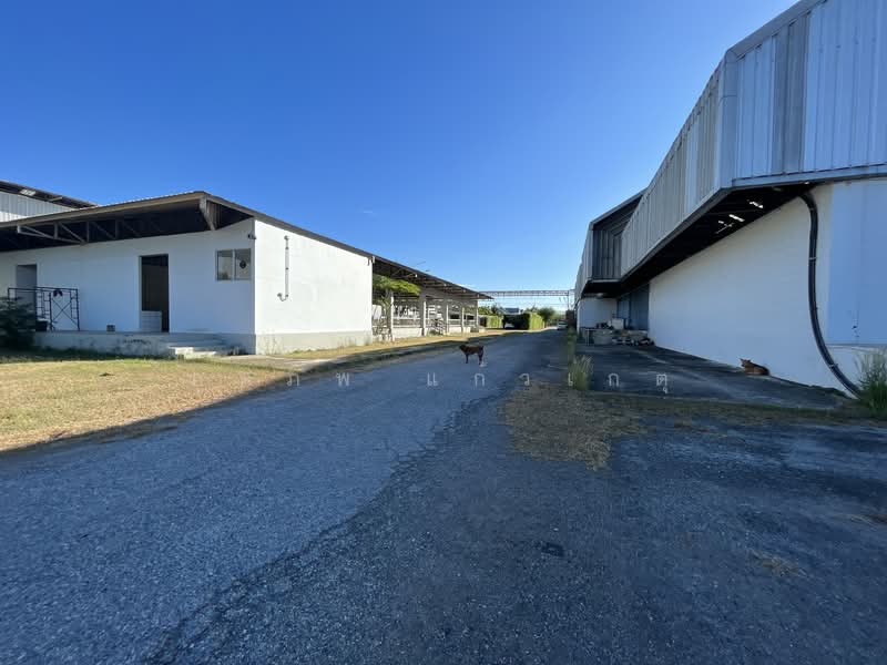 บ้านบึง, ชลบุรี, หนองชาก, บ้านบึง, ชลบุรี, 5,000 ตร.ม., โกดัง-โรงงาน ขาย, โดย ภคภพ แก้วเกตุ, 500154929 - DDproperty.com