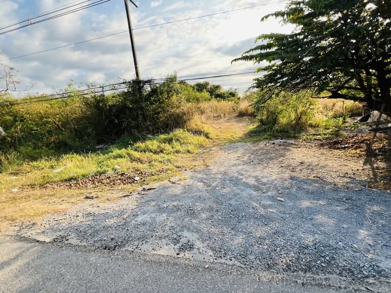 ขาย - ขายที่ดินติดทางหลวงแผ่นดินหมายเลข 2 อุดร-หนองคาย, หนองคาย