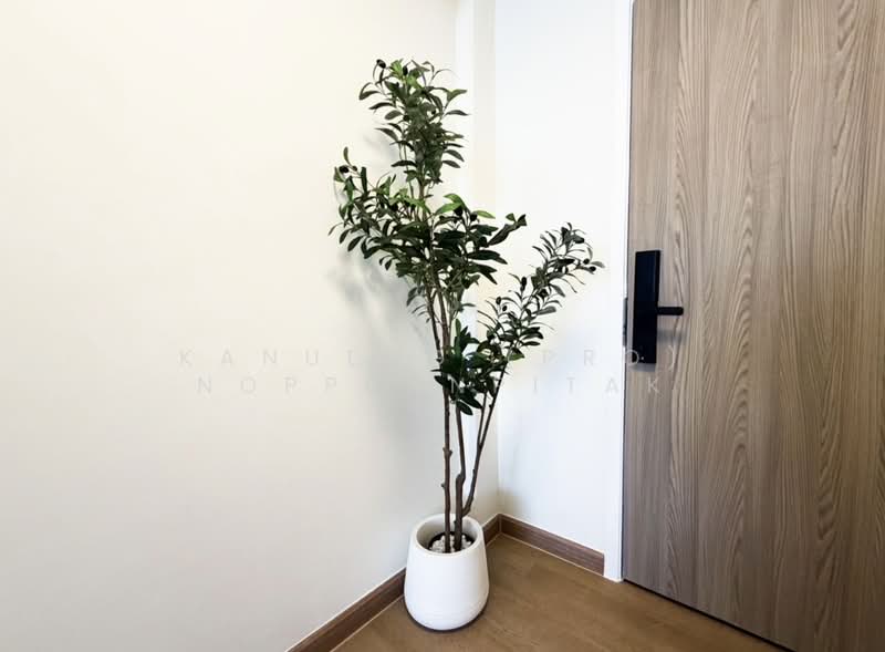 City Villa, Bangkok, Lat Phrao Road 130, Khlong Chan, Bang Kapi, Bangkok, 1 Bedroom, 33 sqm, Condo For Sale, by Kanueng (Pro) Noppornpitak, 500154975 - DDproperty.com