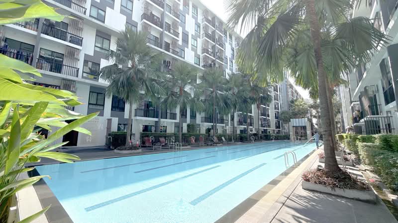 iCondo Sukhumvit 105, Bangkok, 20 Soi Lasalle 19,  Sukhumvit 105 Road, Bang Na, Bang Na, Bangkok, 1 Bedroom, 30 sqm, Condo For Sale, by พงษ์ประเสริฐ ผาแดงจงเจริญ, 500154976 - DDproperty.com