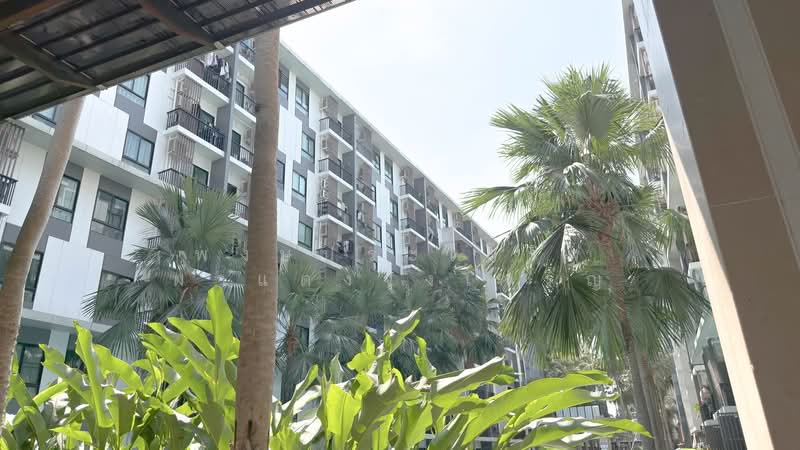 iCondo Sukhumvit 105, Bangkok, 20 Soi Lasalle 19,  Sukhumvit 105 Road, Bang Na, Bang Na, Bangkok, 1 Bedroom, 30 sqm, Condo For Sale, by พงษ์ประเสริฐ ผาแดงจงเจริญ, 500154976 - DDproperty.com