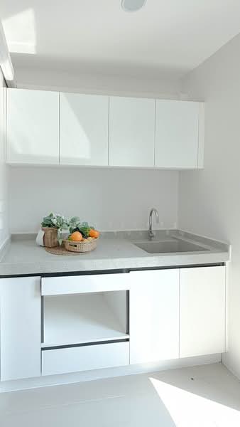 iCondo Sukhumvit 105, Bangkok, 20 Soi Lasalle 19,  Sukhumvit 105 Road, Bang Na, Bang Na, Bangkok, 1 Bedroom, 30 sqm, Condo For Sale, by พงษ์ประเสริฐ ผาแดงจงเจริญ, 500154976 - DDproperty.com