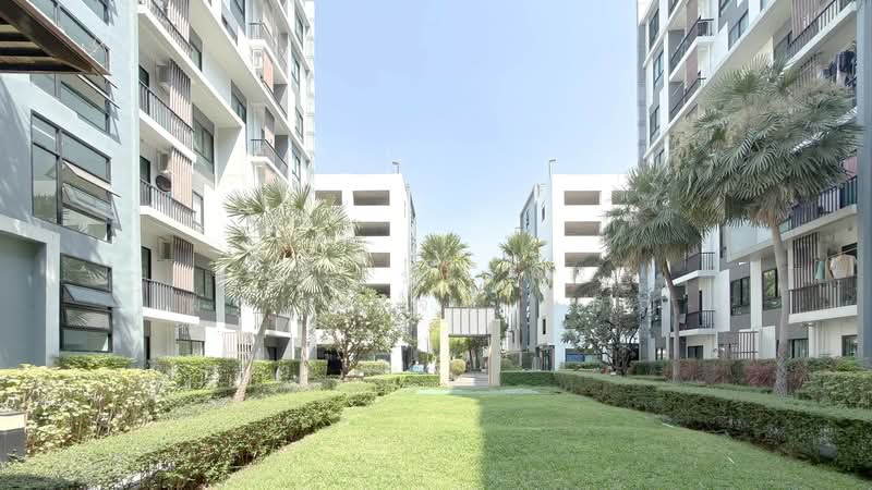 iCondo Sukhumvit 105, Bangkok, 20 Soi Lasalle 19,  Sukhumvit 105 Road, Bang Na, Bang Na, Bangkok, 1 Bedroom, 30 sqm, Condo For Sale, by พงษ์ประเสริฐ ผาแดงจงเจริญ, 500154976 - DDproperty.com