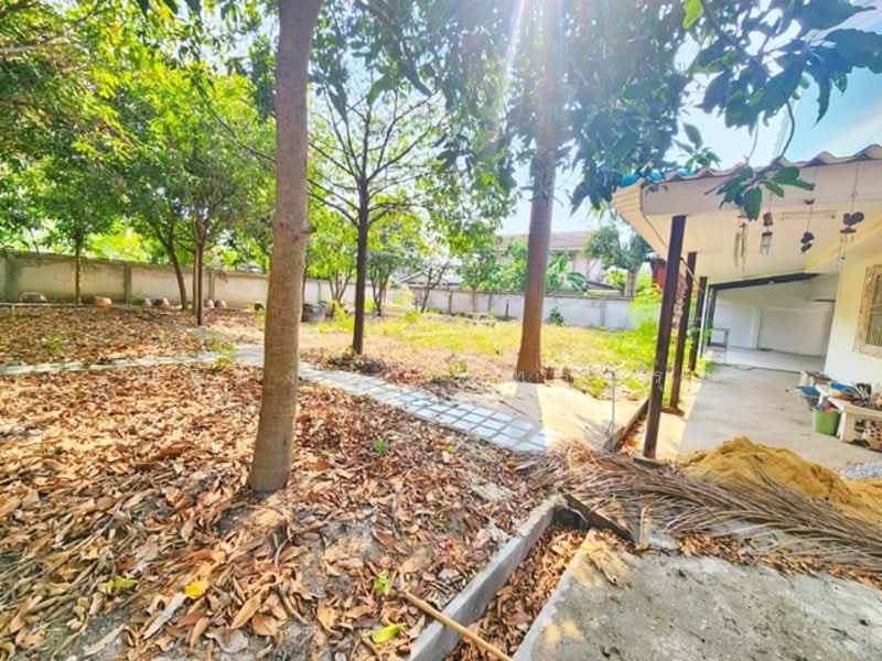 ไม่พบโครงการ, Bangkok, ศรีนครินทร์ วชิรธรรมสาธิต39-49, Bang Chak, Phra Khanong, Bangkok, 6 Bedrooms, 2,200 sqm, Single Detached House For Rent, by ณัฐพงศ์ สุนทรอรุณ, 500155064 - DDproperty.com