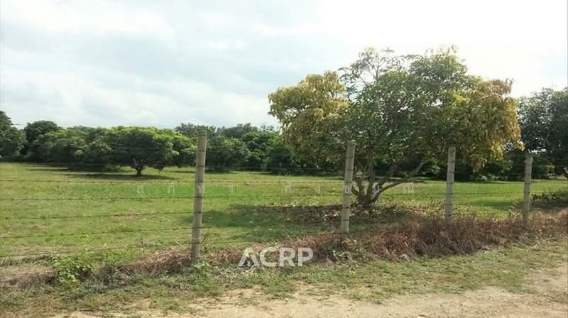 Large Land Plot for Sale in Hang Dong District, Land for Sale in Chiang Mai Province, Chiang Mai, Han Kaeo, Hang Dong, Chiang Mai, , 18,388 sqm, Land For Sale, by สุภัทร สังขมณี, 500155065 - DDproperty.com