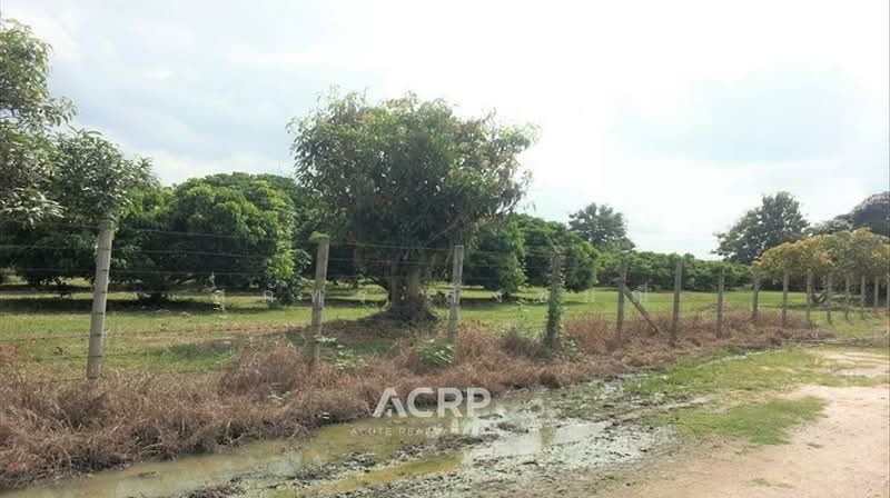 Large Land Plot for Sale in Hang Dong District, Land for Sale in Chiang Mai Province, Chiang Mai, Han Kaeo, Hang Dong, Chiang Mai, , 18,388 sqm, Land For Sale, by สุภัทร สังขมณี, 500155065 - DDproperty.com
