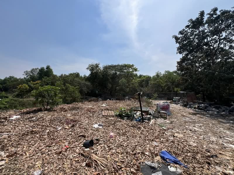 ขายที่ดินติดเลียบกาญจนาภิเษก คลอง 5 (ถนนรอง) ใกล้อิเกียปทุมและถนนคลองหลวง เหมาะซื้อลงทุน!, ปทุมธานี, คลองห้า, คลองหลวง, ปทุมธานี, 63,728 ตร.ม., ที่ดิน ขาย, โดย คุณพี, 500155087 - DDproperty.com