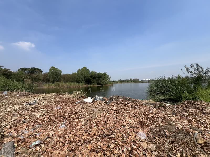 ขายที่ดินติดเลียบกาญจนาภิเษก คลอง 5 (ถนนรอง) ใกล้อิเกียปทุมและถนนคลองหลวง เหมาะซื้อลงทุน!, ปทุมธานี, คลองห้า, คลองหลวง, ปทุมธานี, 63,728 ตร.ม., ที่ดิน ขาย, โดย คุณพี, 500155087 - DDproperty.com