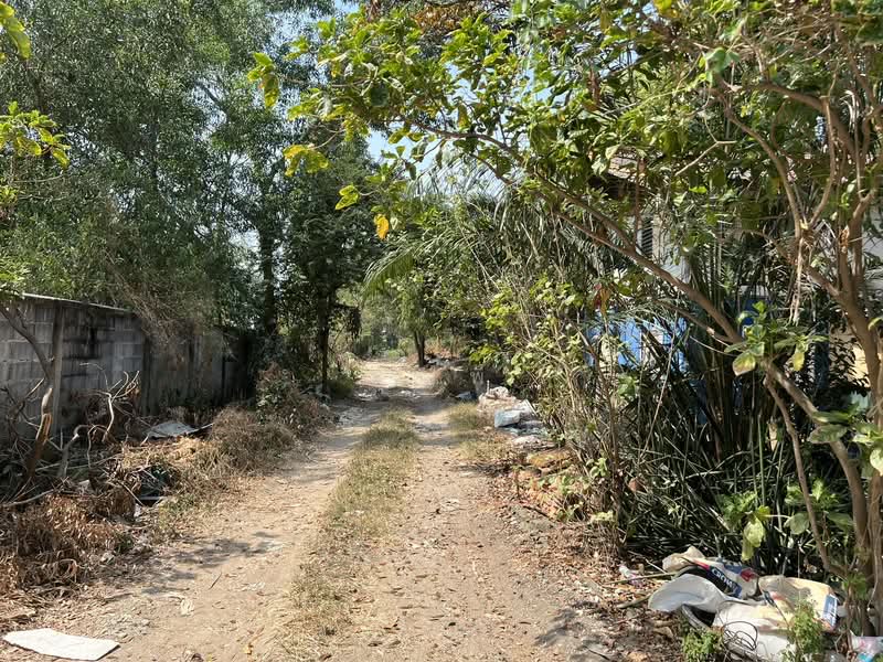 ขายที่ดินติดเลียบกาญจนาภิเษก คลอง 5 (ถนนรอง) ใกล้อิเกียปทุมและถนนคลองหลวง เหมาะซื้อลงทุน!, ปทุมธานี, คลองห้า, คลองหลวง, ปทุมธานี, 63,728 ตร.ม., ที่ดิน ขาย, โดย คุณพี, 500155087 - DDproperty.com