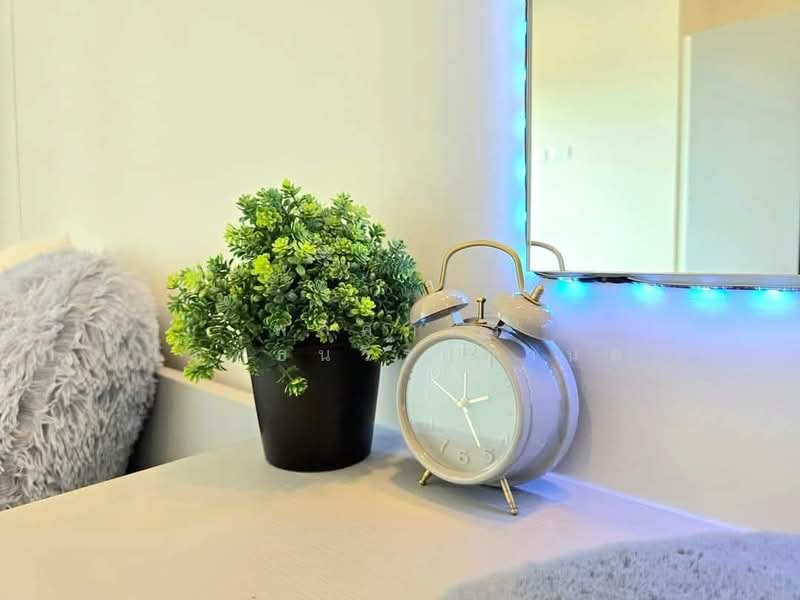 Escent Korat, Nakhon Ratchasima, Thanon Mittraphap Frontage, Mun Wai, Muang Nakhon Ratchasima, Nakhon Ratchasima, 1 Bedroom, 37 sqm, Condo For Rent, by พลิศภัสร์ โชคธนวีระกานต์, 500155147 - DDproperty.com
