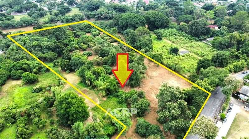 Large Riverside Land for Sale on the Ping River, Chiang Mai Land for Sale in Chiang Mai, Chiang Mai, Pa Tun, Muang Chiang Mai, Chiang Mai, , 18,548 sqm, Land For Sale, by สุภัทร สังขมณี, 500155156 - DDproperty.com