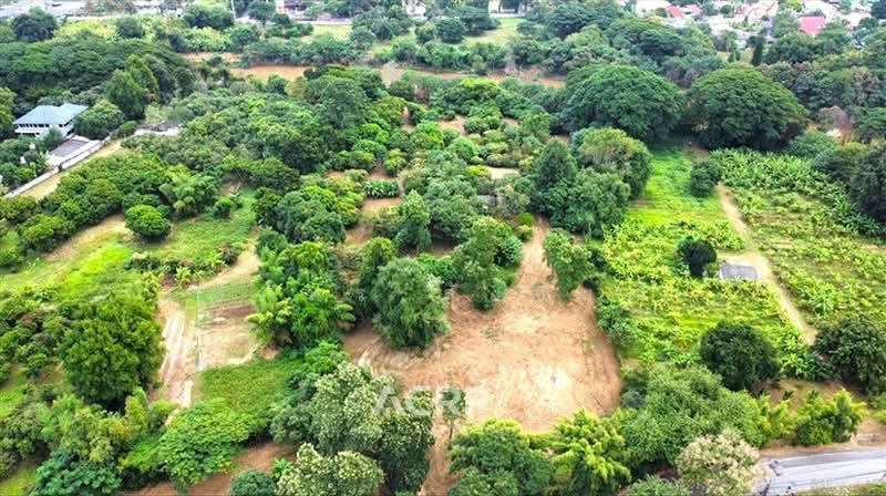 Large Riverside Land for Sale on the Ping River, Chiang Mai Land for Sale in Chiang Mai, Chiang Mai, Pa Tun, Muang Chiang Mai, Chiang Mai, , 18,548 sqm, Land For Sale, by สุภัทร สังขมณี, 500155156 - DDproperty.com