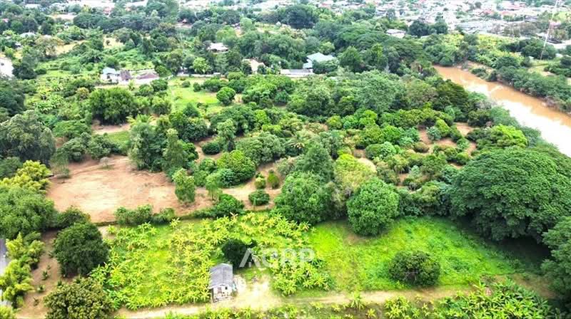 Large Riverside Land for Sale on the Ping River, Chiang Mai Land for Sale in Chiang Mai, Chiang Mai, Pa Tun, Muang Chiang Mai, Chiang Mai, , 18,548 sqm, Land For Sale, by สุภัทร สังขมณี, 500155156 - DDproperty.com