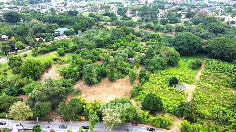 Large Riverside Land for Sale on the Ping River, Chiang Mai Land for Sale in Chiang Mai, Chiang Mai, Pa Tun, Muang Chiang Mai, Chiang Mai, , 18,548 sqm, Land For Sale, by สุภัทร สังขมณี, 500155156 - DDproperty.com