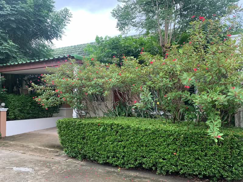 House for Rent – Kathu Area, Phuket, Kathu, Kathu, Phuket, 2 Bedrooms, 1 sqm, Single Detached House For Rent, by bossone, 500155163 - DDproperty.com