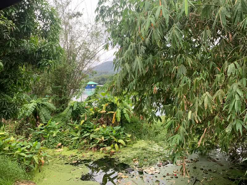 House for Rent – Kathu Area, Phuket, Kathu, Kathu, Phuket, 2 Bedrooms, 1 sqm, Single Detached House For Rent, by bossone, 500155163 - DDproperty.com