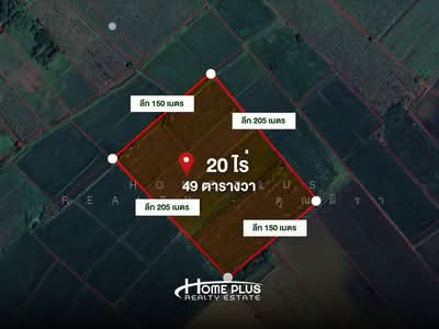 ขาย - บางกระทุ่ม, พิษณุโลก