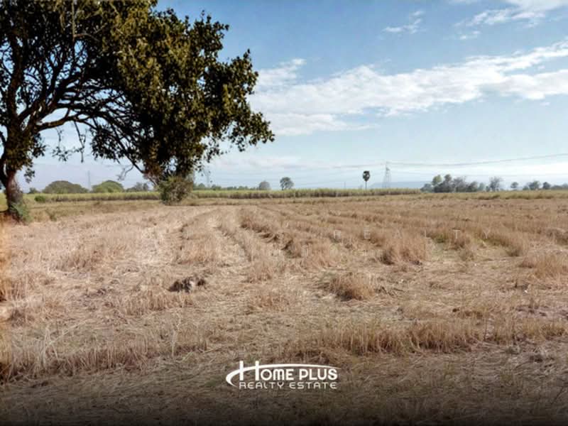 บางกระทุ่ม, พิษณุโลก, วัดตายม, บางกระทุ่ม, พิษณุโลก, 32,196 ตร.ม., ที่ดิน ขาย, โดย HOMEPLUS REALTY - คุณมิรา, 500155198 - DDproperty.com