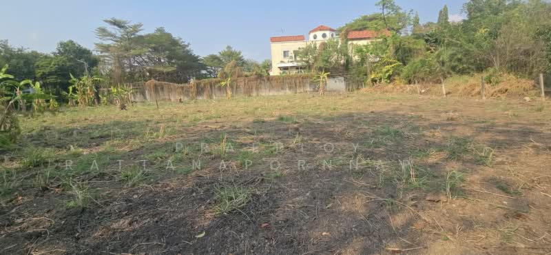 ที่ดิน กรุงเทพ กรีฑา ซอย 8 หัวหมาก บางกะปิ, กรุงเทพ, กรุงเทพ กรีฑา ซอย 8, หัวหมาก, บางกะปิ, กรุงเทพ, 1,220 ตร.ม., ที่ดิน ขาย, โดย Praeploy Rattanapornnapapatch, 500155285 - DDproperty.com