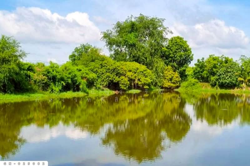 ขาย - GN-025062 ที่ดินโคกสำโรง 10 ไร่ 259 ตร.ว. ถ.สุรนารายณ์ ลพบุรี ใกล้วัดเขาวงพระจันทร์, ลพบุรี