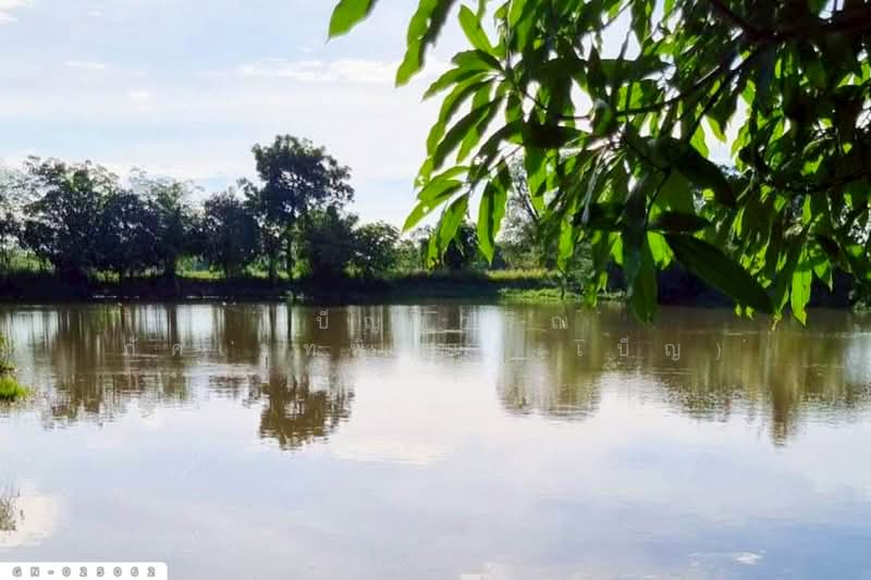 GN-025062 Land for sale in Khok Samrong, 10 rai 259 sqw, Suranarai Road, Lop Buri, Lop Buri, Phaniat, Khok Samrong, Lop Buri, , 17,036 sqm, Land For Sale, by Benchawarin Pakkawetppisit, 500155292 - DDproperty.com