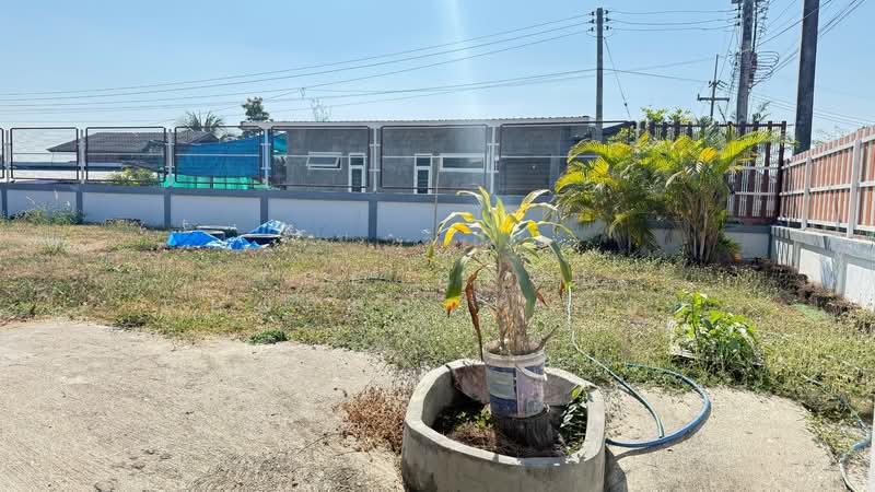 ที่ดินสันป่าตอง เชียงใหม่, Chiang Mai, San Khang, San Pa Tong, Chiang Mai, , 340 sqm, Land For Sale, by The Best Property บอย, 500155306 - DDproperty.com