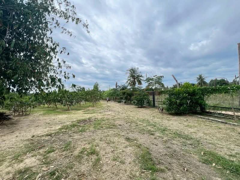 ที่ดินห้วยใหญ่ พัทยา, ชลบุรี, ห้วยใหญ่, บางละมุง, ชลบุรี, 7,048 ตร.ม., ที่ดิน ขาย, โดย A.T.A. Property, 500155330 - DDproperty.com