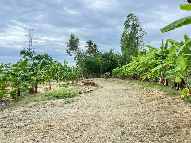ที่ดินห้วยใหญ่ พัทยา, Chon Buri (Pattaya), Huai Yai, Bang Lamung (Pattaya), Chon Buri (Pattaya), , 7,048 sqm, Land For Sale, by A.T.A. Property, 500155330 - DDproperty.com