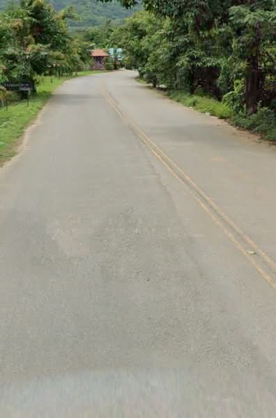 ขาย - ที่ดินบ้านดู่ เชียงราย, เชียงราย