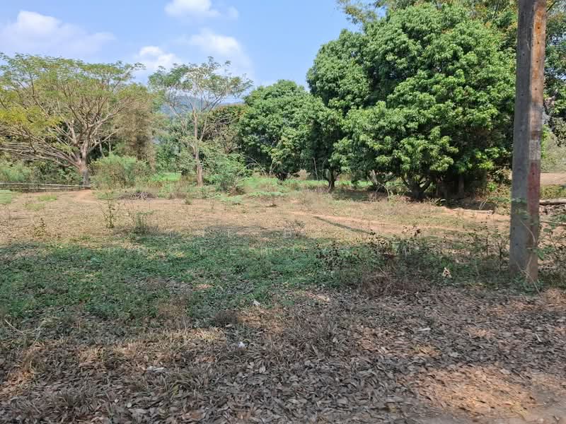 ที่ดินบ้านดู่ เชียงราย, Chiang Rai, Ban Du, Muang Chiang Rai, Chiang Rai, , 800 sqm, Land For Sale, by The Best Property ไนล์, 500155367 - DDproperty.com