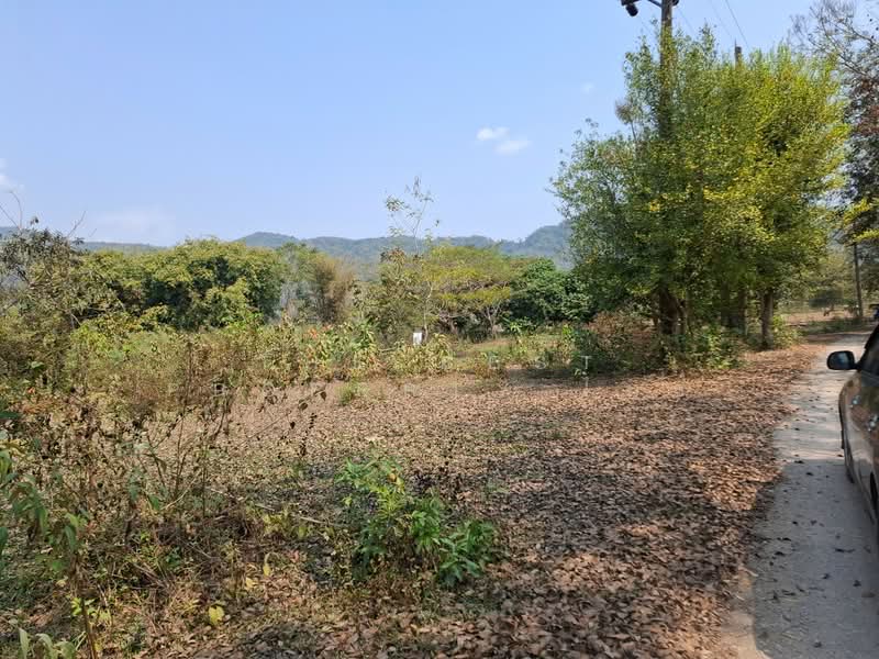 ที่ดินบ้านดู่ เชียงราย, Chiang Rai, Ban Du, Muang Chiang Rai, Chiang Rai, , 800 sqm, Land For Sale, by The Best Property ไนล์, 500155367 - DDproperty.com
