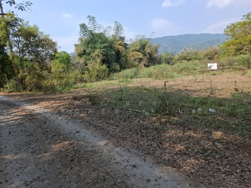 ที่ดินบ้านดู่ เชียงราย, เชียงราย, บ้านดู่, เมืองเชียงราย, เชียงราย, 800 ตร.ม., ที่ดิน ขาย, โดย The Best Property ไนล์, 500155367 - DDproperty.com