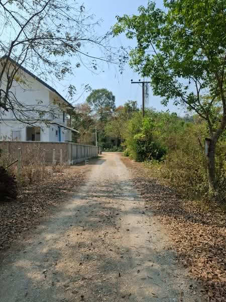 ที่ดินบ้านดู่ เชียงราย, เชียงราย, บ้านดู่, เมืองเชียงราย, เชียงราย, 800 ตร.ม., ที่ดิน ขาย, โดย The Best Property ไนล์, 500155367 - DDproperty.com