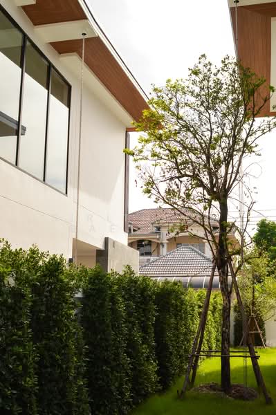 EDEN ศรีนครินทร์ - สวนหลวง บ้านเดี่ยวสไตล์ Modern Tropical พร้อมสวน Courtyard ขนาดใหญ่ใจกลางบ้าน, กรุงเทพ, เฉลิมพระเกียรติ ร.9 ซอย 62, ดอกไม้, ประเวศ, กรุงเทพ, 416 ตร.ม., บ้านเดี่ยว ขาย, โดย Sirithong Saetang, 500155396 - DDproperty.com