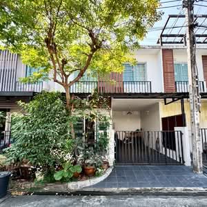 ขาย - Areeya The Colors Premium Lat Pla Khao : อารียา เดอะคัลเลอร์ พรีเมียม ลาดปลาเค้า, กรุงเทพ