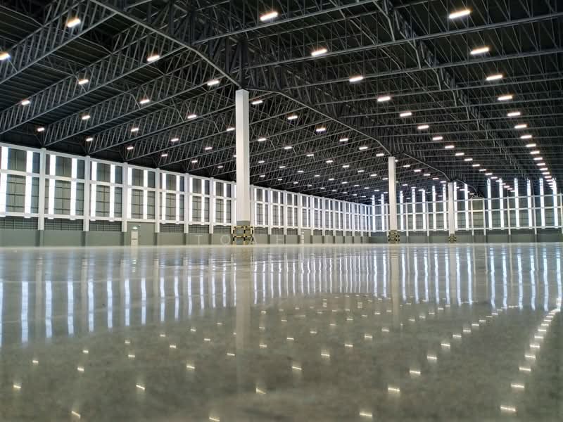 คลังสินค้า โกดัง ให้เช่า สมุทรปราการ บางพลี : warehouse cargo for rent Samutprakan Bangplee 仓库出租, สมุทรปราการ, บางปูใหม่, เมืองสมุทรปราการ, สมุทรปราการ, 2,500 ตร.ม., โกดัง-โรงงาน ให้เช่า, โดย TOAH T., 500155497 - DDproperty.com