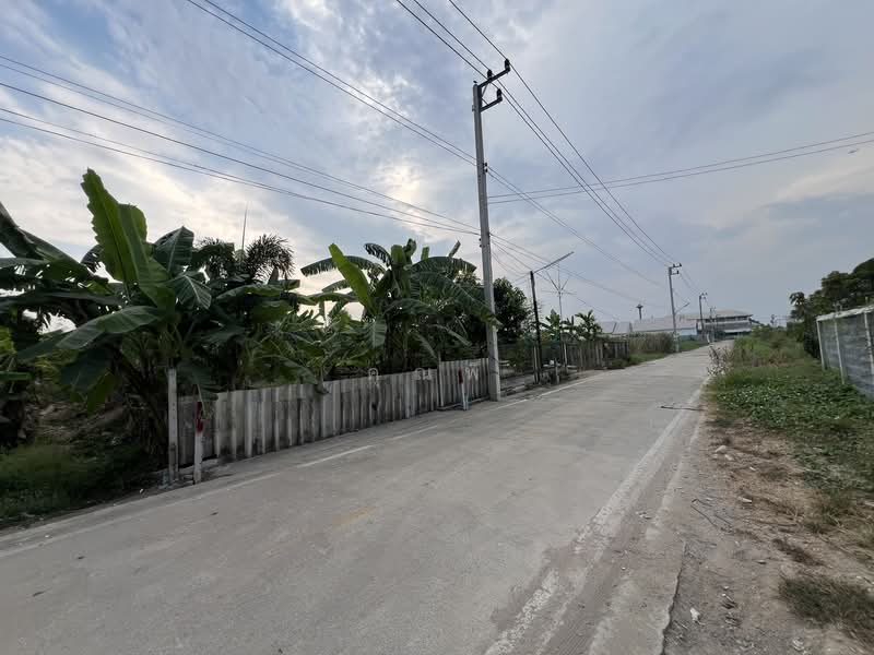 โคตรถูก ราคานี้จับต้องง่าย! ขายที่ดินรังสิตคลอง 5 (ซอยคลอง 5 ตะวันออก 4), Pathum Thani, Khlong Ha, Khlong Luang, Pathum Thani, , 5,388 sqm, Land For Sale, by คุณพี, 500155516 - DDproperty.com