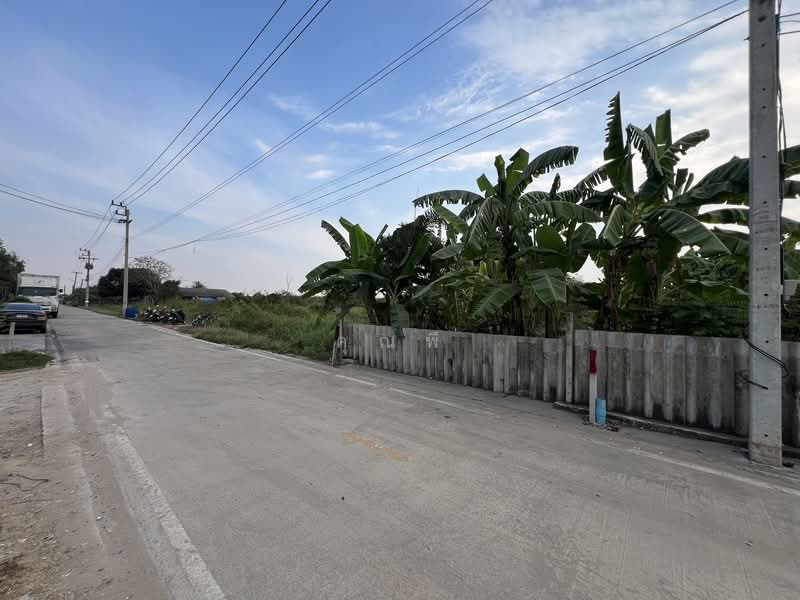 ขายที่ดินซอยคลอง 5 ตะวันออก 4 ติดถนนสาธารณะ, ปทุมธานี, คลองห้า, คลองหลวง, ปทุมธานี, 5,388 ตร.ม., ที่ดิน ขาย, โดย คุณพี, 500155516 - DDproperty.com