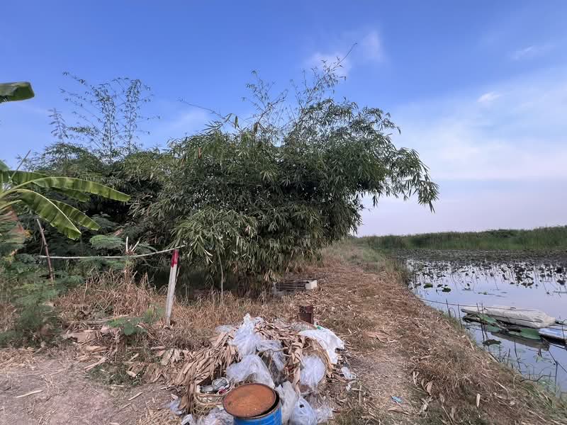 โคตรถูก ราคานี้จับต้องง่าย! ขายที่ดินรังสิตคลอง 5 (ซอยคลอง 5 ตะวันออก 4), Pathum Thani, Khlong Ha, Khlong Luang, Pathum Thani, , 5,388 sqm, Land For Sale, by คุณพี, 500155516 - DDproperty.com