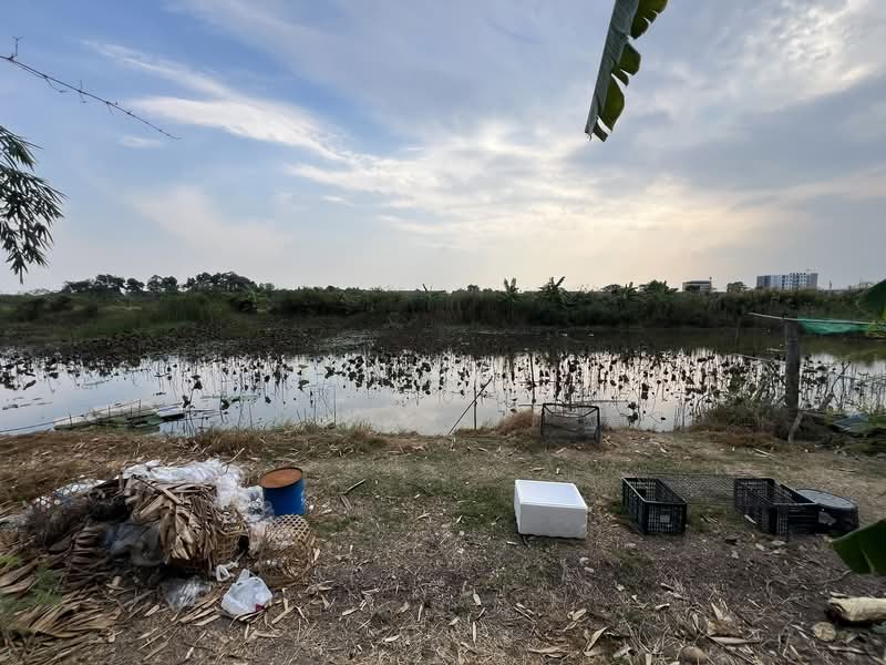 โคตรถูก ราคานี้จับต้องง่าย! ขายที่ดินรังสิตคลอง 5 (ซอยคลอง 5 ตะวันออก 4), Pathum Thani, Khlong Ha, Khlong Luang, Pathum Thani, , 5,388 sqm, Land For Sale, by คุณพี, 500155516 - DDproperty.com