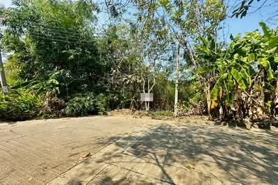 ขาย - ขายที่ดิน 96ตร.วา หมู่บ้านฟลอร่าวิลล์ ถนนสุวินทวงศ์ ลำผักชี หนองจอก, กรุงเทพ