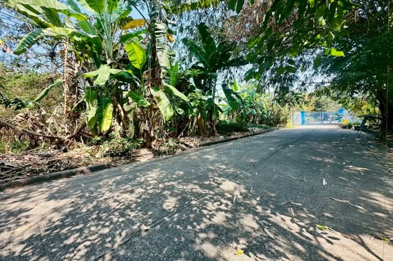 ขายที่ดิน 96ตร.วา หมู่บ้านฟลอร่าวิลล์ ถนนสุวินทวงศ์ ลำผักชี หนองจอก, Bangkok, สุวินทวงศ์, Lam Phak Chi, Nong Chok, Bangkok, , 384 sqm, Land For Sale, by คุณปอย, 500155518 - DDproperty.com