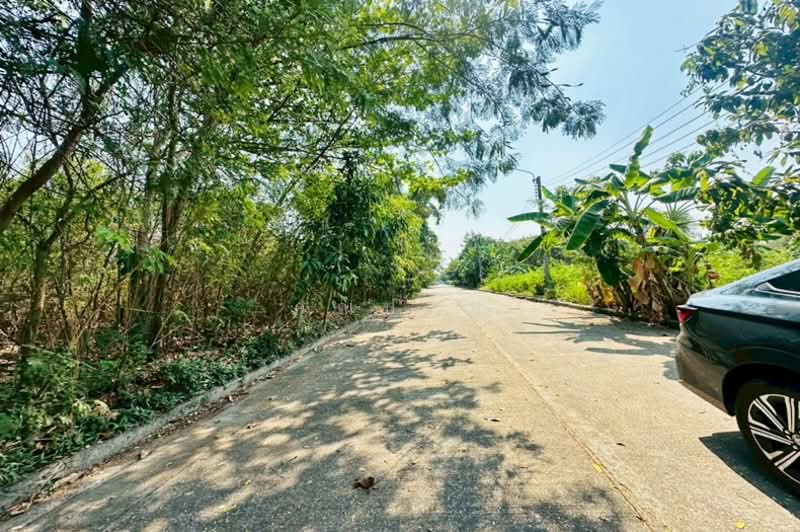 ขายที่ดิน 96ตร.วา หมู่บ้านฟลอร่าวิลล์ ถนนสุวินทวงศ์ ลำผักชี หนองจอก, Bangkok, สุวินทวงศ์, Lam Phak Chi, Nong Chok, Bangkok, , 384 sqm, Land For Sale, by คุณปอย, 500155518 - DDproperty.com