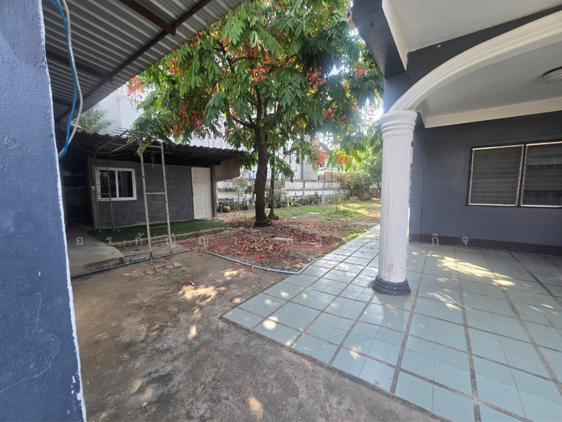 For Sale: Land Near Big C Don Chan – 1 Ngan 80 Sq.wah (ID:273LS), Chiang Mai, Chang Phuak, Muang Chiang Mai, Chiang Mai, , 720 sqm, Land For Sale, by อรกัญญา สายวังกิจ, 500155550 - DDproperty.com