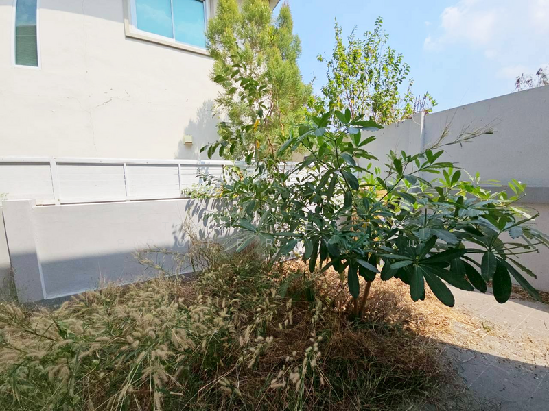 Thanaburi Residence, Chon Buri (Pattaya), Phan Thong, Phan Thong, Chon Buri (Pattaya), 3 Bedrooms, 216 sqm, Single Detached House For Sale, by The Best Property ส้ม, 500155574 - DDproperty.com