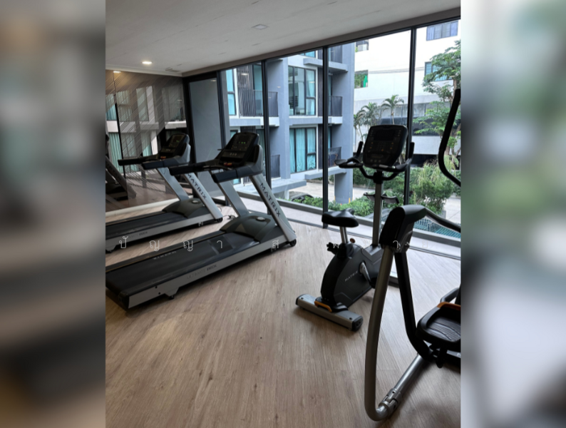 Serio Sukhumvit 50, Bangkok, Soi Sukhumvit 50, Phra Kanong, Khlong Toei, Bangkok, 1 Bedroom, 33 sqm, Condo For Rent, by ปัญญา สมหมาย, 500155579 - DDproperty.com
