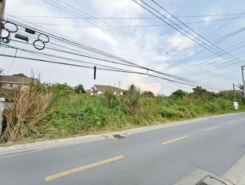 ขายที่ดินเปล่า ประชาอุทิศ 76 แยก 4/1 เนื้อที่ 100 ตร.ว. ใกล้ทางด่วน, กรุงเทพ, ประชาอุทิศ, ทุ่งครุ, ทุ่งครุ, กรุงเทพ, 400 ตร.ม., ที่ดิน ขาย, โดย Wuthikorn Prasomsan, 500155602 - DDproperty.com