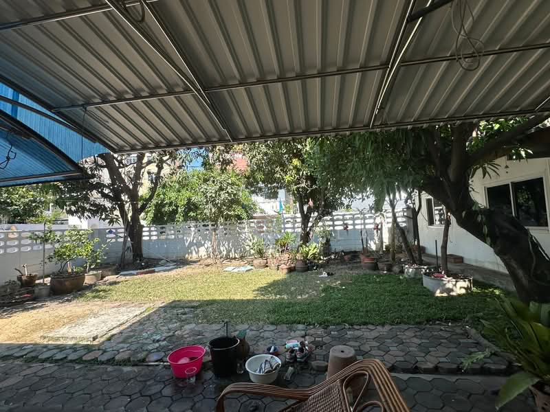 House for rent, Sukhumvit 101/1, Soi Wachirathamsathit (SPSAD3823), Bangkok, สุขุมวิท101/1, Bang Chak, Phra Khanong, Bangkok, 3 Bedrooms, 375 sqm, Single Detached House For Rent, by Agent Pla, 500155603 - DDproperty.com